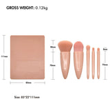 5pcs Plastic Handle Makeup Brushes In Nude Plastic Box