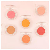 10 Colors Cat Paw Shape Blush - MSmakeupoem.com